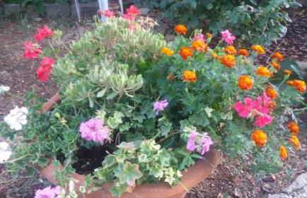 Villa San marco - Foto 34