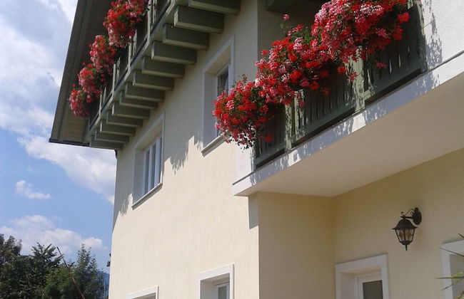 Apartments Vila Marjetica - Photo 37