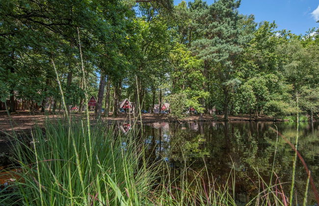 Modern Lodge With Infrared Sauna, Near Helmond - Foto 22