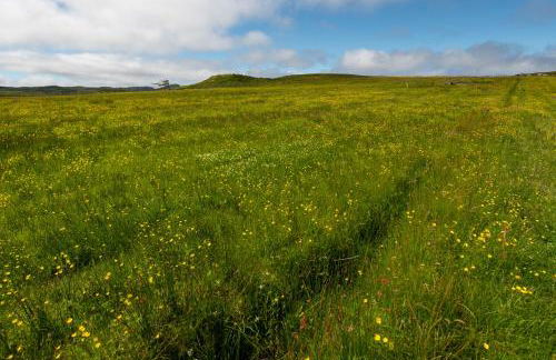 21 Callanish Luxury Pod - Photo 11