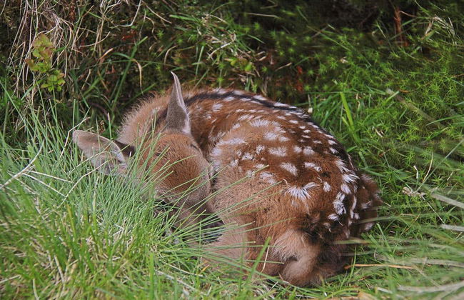 Glendalough, Wicklow & Kilkenny Day Trip - Photo 3