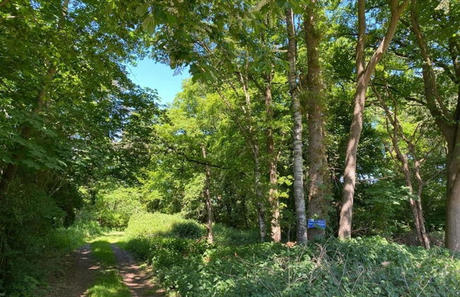 Holiday Home in Haaksbergen by Lake - Photo 32