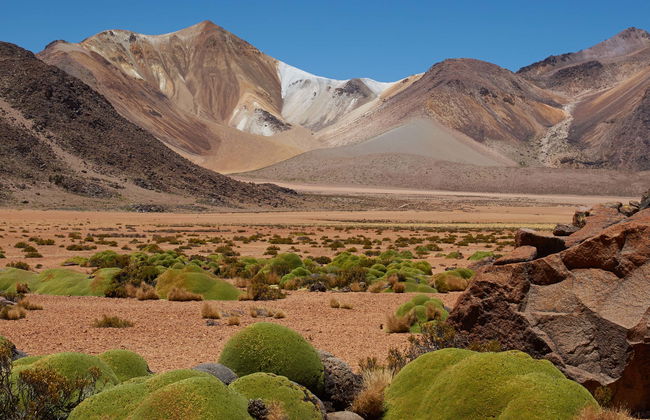Suriplaza Colourful Mountains Day Trip - Photo 6