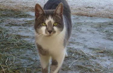 Malterlehen-Berchtesgaden - Foto 7