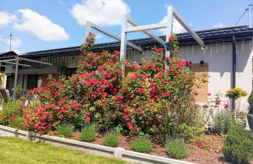 Noclegi, pokoje, kwatery "Nad Bzurą" - Foto 10