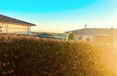 carré de détente JACUZZI JARDIN PISCINE T3 PARKING - Foto 23