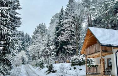 Domki Zew Natury - Foto 14