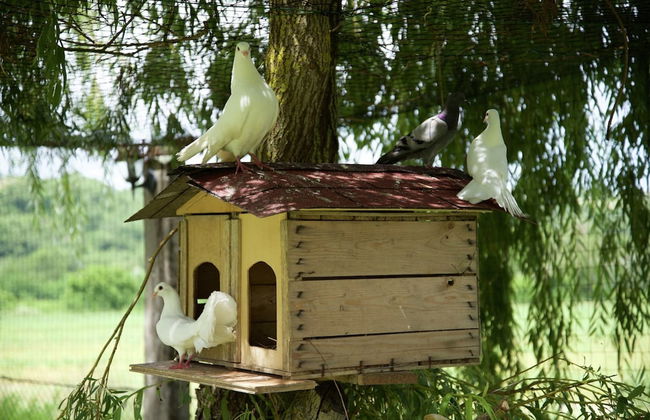 Cottage in Todi With Pool and Terrace - Foto 23