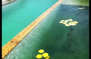 La Calma y La Casita de la Tierra - Foto 16