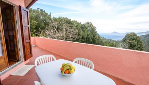 Villino Mare e Natura - Foto 5, Garden view