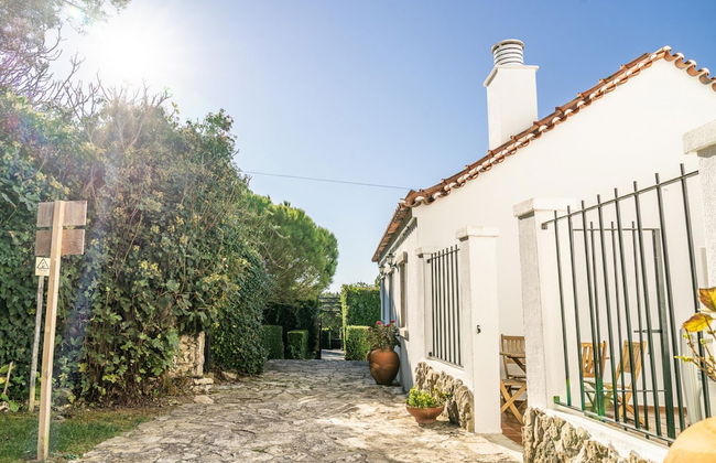 Country - Quinta Completa - Foto 47