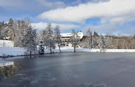 Ferienwohnung Seeblick mit Balkon - Mein Schwarzwaldhäusle - Foto 16