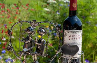 Weitblick - Ruhepol in münsterländer Parklandschaft - Foto 33