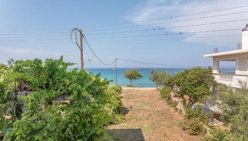 Bel Momento - Family Room - Foto 4