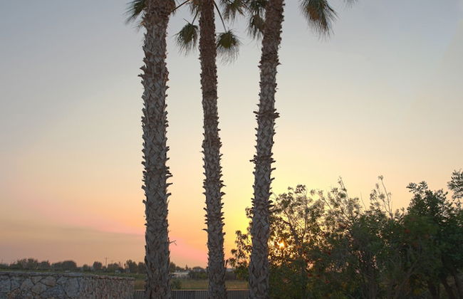 Epta Houses - Foto 46