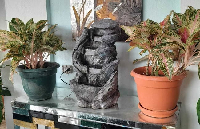 Natural Pacific Suites - Photo 31