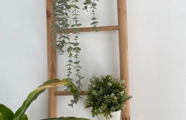 Vila do Sol - Foto 24