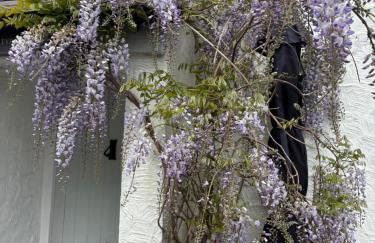 Anglesey 2 bedroom stone cottage dog friendly with EV - Foto 4