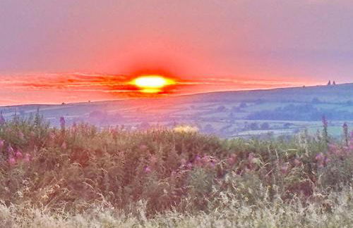 Rural Cottage, 3 beds, 3 bath,LOG BURNER, HOT TUB, with Cymru Holidays - Foto 66