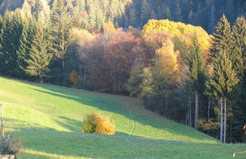 Dolomiti di Brenta House - Foto 63