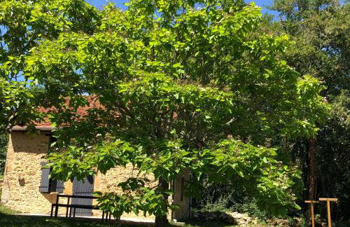 Les choses de la vie - Foto 47