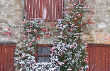 Ballyhargan Farm House - Foto 38