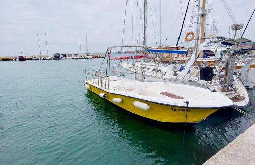 Villa Puntina, Bibinje - Foto 62