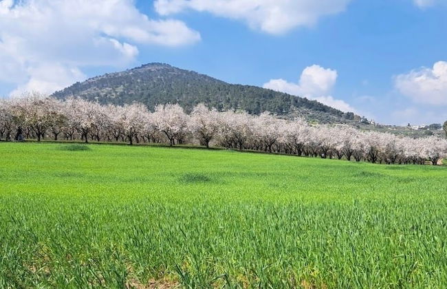 Mount Tabor Home by Sea N' Rent - Foto 45