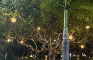 Casa amarela - Foto 16