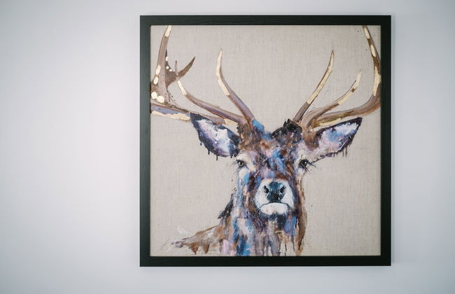 Village View Flat in the Lakes - Foto 3