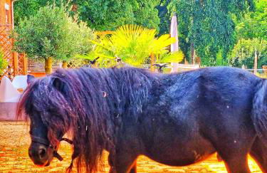 Stableyard cottages - Foto 10