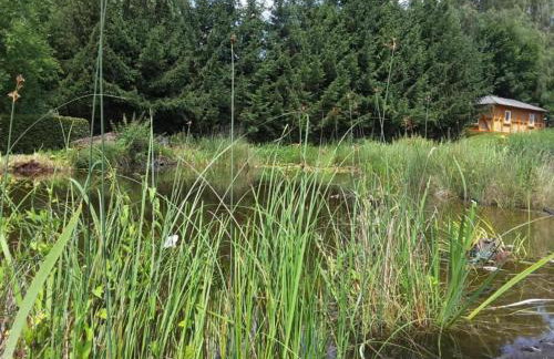 Two separate farmhouse apartments under one roof - Foto 29