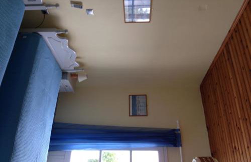 George Paradise - Foto 18