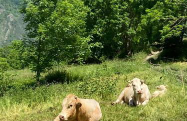 Magnifique T3 au Pla D Adet (Saint Lary)grand confort entièrement refait à neuf avec une vue exceptionnelle sur la vallée - Foto 17