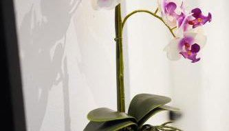 Solis Apartments Bol 1 - Foto 2