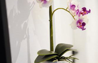 Solis Apartments Bol 1 - Photo 2