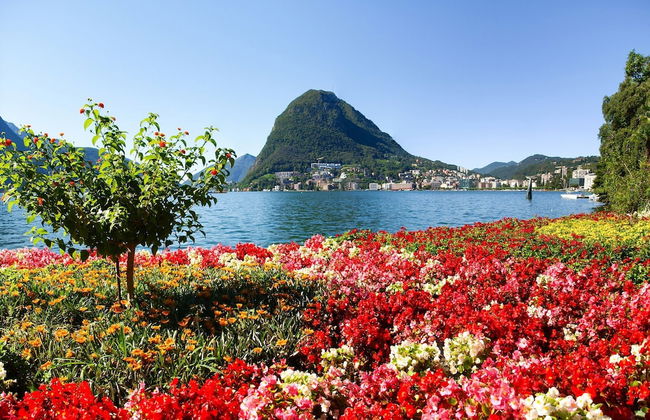 Panoramic Penthouse - Photo 15