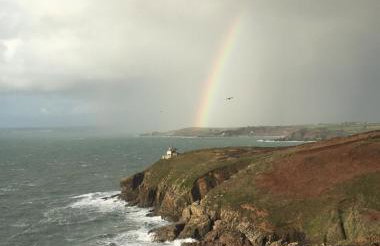 White Willows - Photo 23