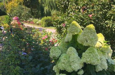 Ferienhaus mit Pool im Seußlitzer Grund - Foto 37