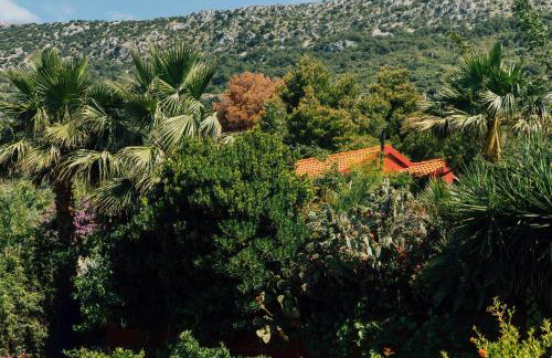 Villa Tropica, total privacy, tropical garden and private pool - Photo 67