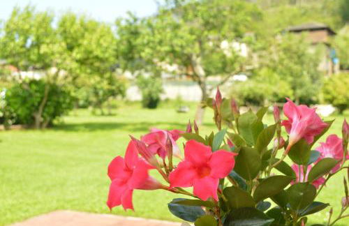 Apartamentos rurales Casa Rosi - Foto 27