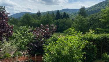 Coquette maison neuve de plain pied au cœur des Hautes Vosges, - Foto 4