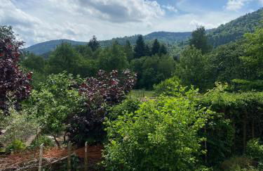Coquette maison neuve de plain pied au cœur des Hautes Vosges, - Foto 4