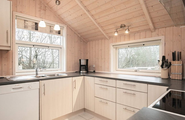 5 Star Holiday Home in Vinderup - Foto 18
