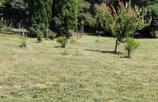 Mas provençal authentique XXL avec grande piscine, terrain de pétanque et parc privé - Foto 26