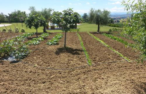 Residence Colle Veroni - Foto 75