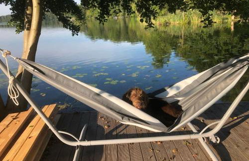 Forsthaus am See Lychen - Photo 14