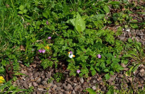 2 Bed in Brecon oc-bn245 - Foto 33