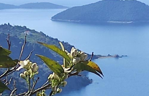 Rita' s House Glossa Skopelos - Foto 29