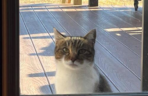 Private Large Family Retreat Near Lake Murray OK - Foto 22